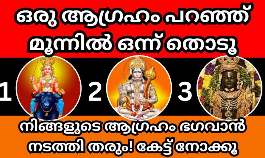 ഈ മൂന്ന് ചിത്രങ്ങളിൽ നിന്നും ഒരെണ്ണം തിരഞ്ഞെടുക്കുക, ജീവിതത്തിൽ ഇനി എന്ത് എന്ന് മനസ്സിലാക്കാം…