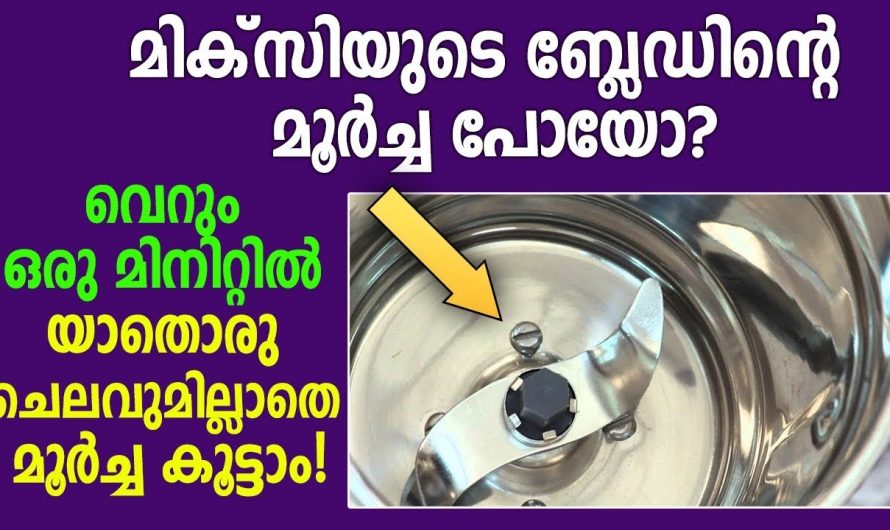 ഈ സാധനം ഉണ്ടെങ്കിൽ മിക്സിയുടെ ജാറിലെ ബ്ലേഡിന്റെ മൂർച്ച ഇരട്ടിയാക്കാം…