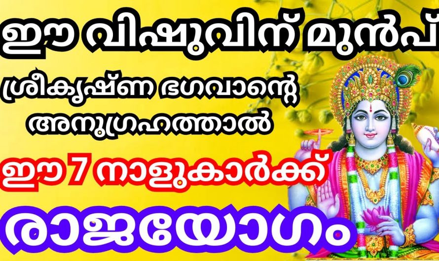 ഈ നാളുകാരുടെ ജീവിതത്തിൽ ഇനി സൗഭാഗ്യത്തിന്റെ പെരുമഴ, ഇവർ കുതിച്ചുയരും…