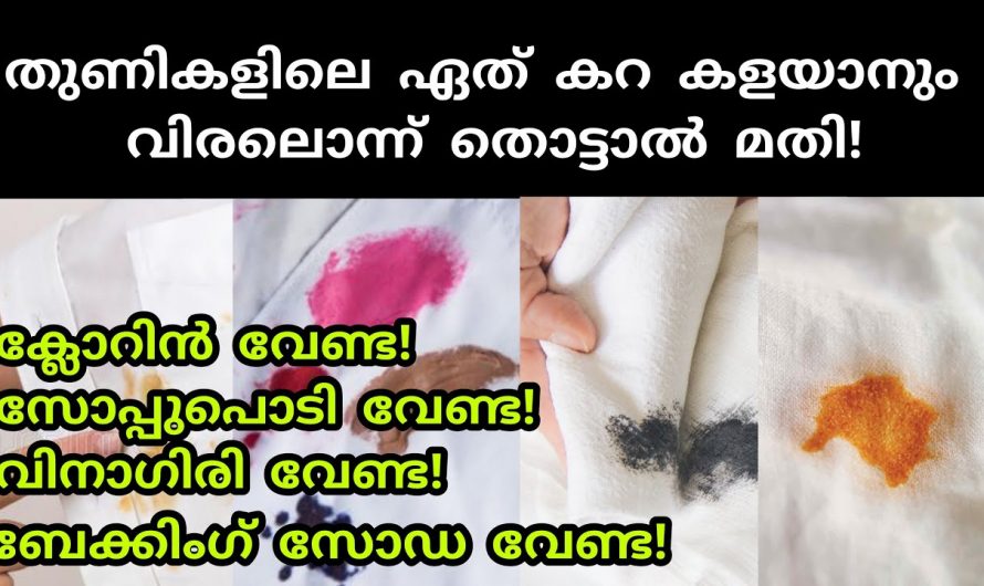 വെള്ള വസ്ത്രങ്ങളിലെ ഏത് കറയും വീട്ടിലെ ഈ സാധനം ഉപയോഗിച്ച് കളയാം👌