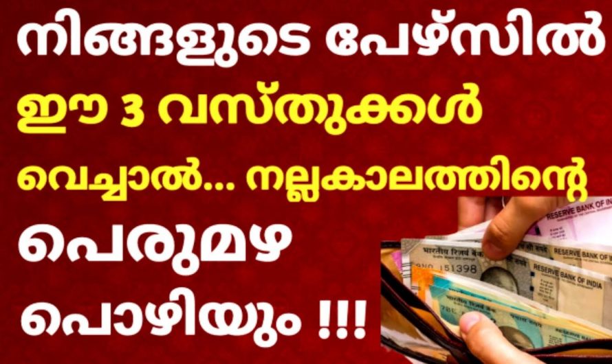 പേഴ്സിൽ പണം കുമിഞ്ഞു കൂടാൻ ഈ സാധനം വെച്ചാൽ മതി, ഉറപ്പായും ഫലം കിട്ടും….