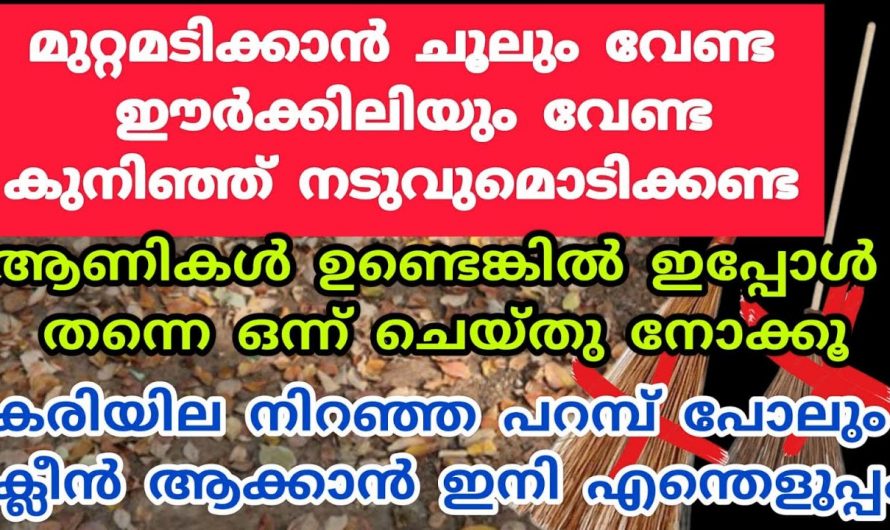 ഇനി മുറ്റമടിക്കുവാൻ ചൂലും വേണ്ട കുനിയുകയും വേണ്ട, ഒരു കിടിലൻ ട്രിക്ക്…👌