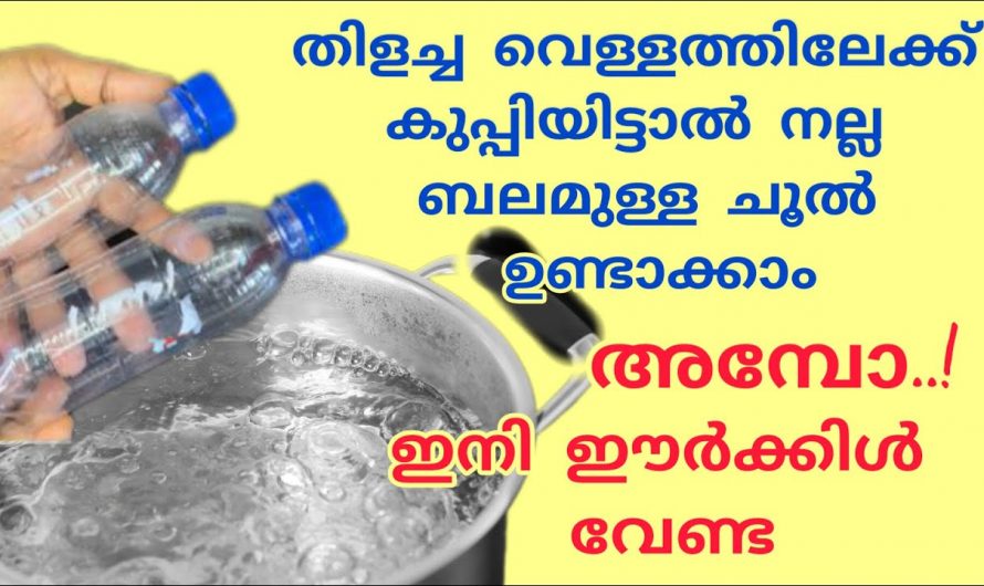 ഇനി കുപ്പികൾ വെറുതെ കളയേണ്ട! ഇത് ഉപയോഗിച്ച് കിടിലൻ ചൂല് തയ്യാറാക്കാം…